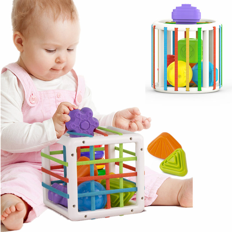 Blocos de Classificação Montessori: Brinquedo Educativo Colorido para Aprendizagem do bebê