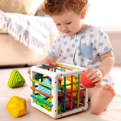 Blocos de Classificação Montessori: Brinquedo Educativo Colorido para Aprendizagem do bebê